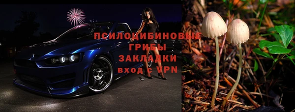 мдпв Корсаков